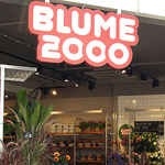 Blume 2000